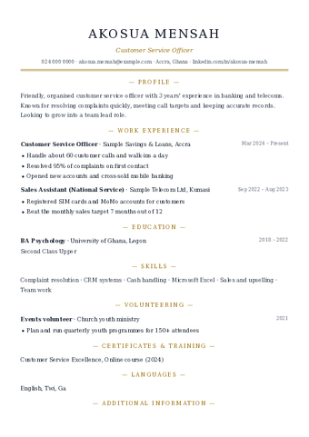Elegant CV template