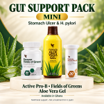 Stomach Ulcer & H. pylori Gut Support Pack (Mini) | Forever Active Pro-B, Fields of Greens and Aloe Vera Gel in Ghana