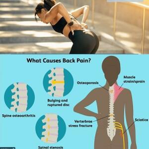 Waist and Lower Back Pain Relief Treatment Supplement and Herbal Medicine in Ghana