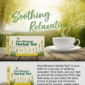 Aloe Blossom Herbal Tea: Ingredients, Benefits, Uses and Side Effects