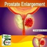 Prostate Wellness Support Pack